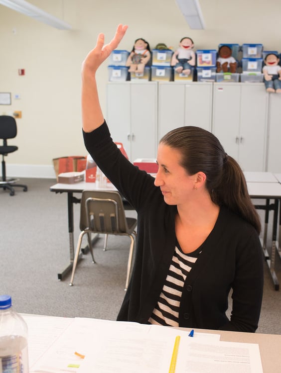 What Does “Parallel Process” Look Like in a CLASS Observation Training?